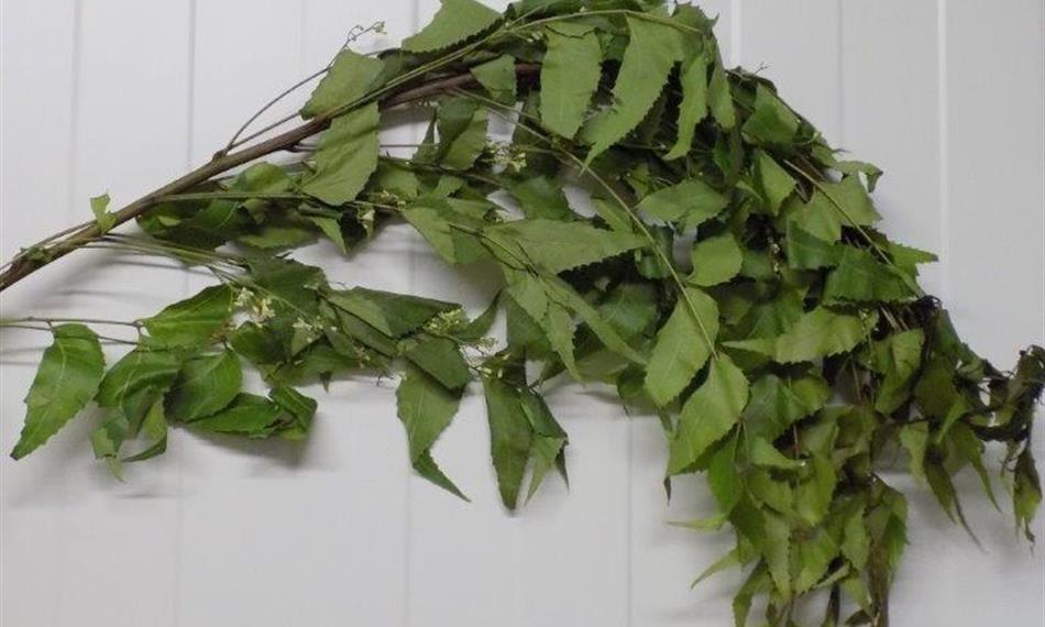 2016-4-18-108foto 1 listy.jpg